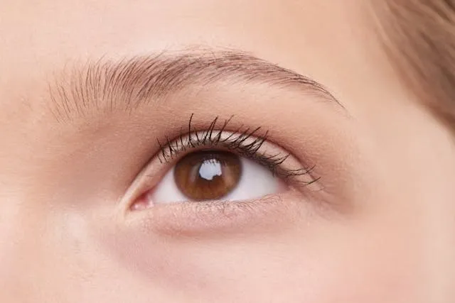 Gros plan sur un œil marron naturel avec cils définis et sourcils soignés, maquillage minimal.
