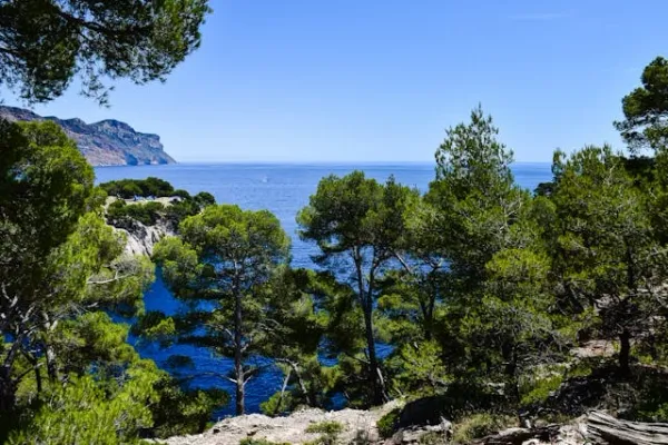Crique méditerranéenne bordée de pins et falaises, mer bleu intense et nature sauvage
