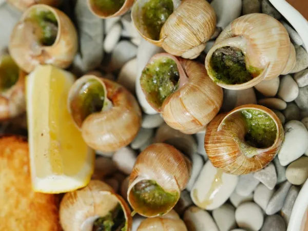 Assiette d’escargots à la bourguignonne avec beurre persillé, citron et pain grillé